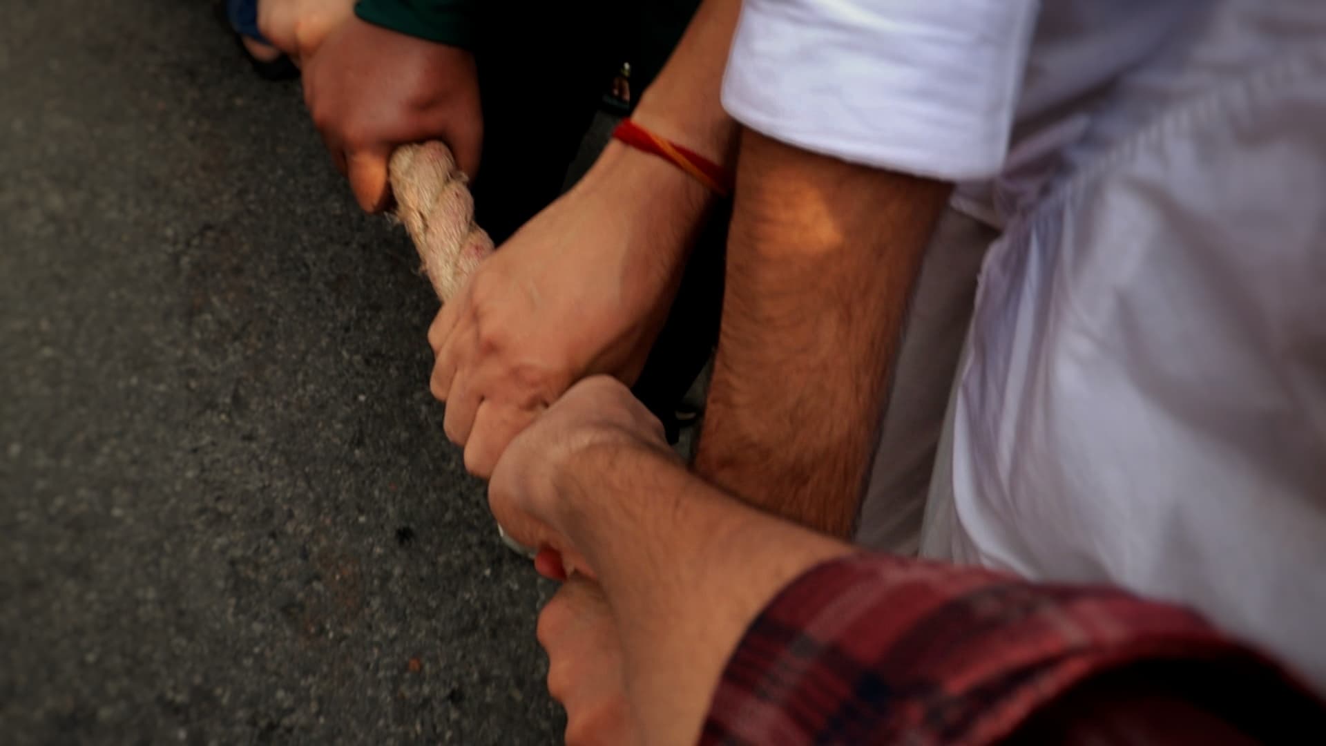 Jagannath Yatra — frame 8