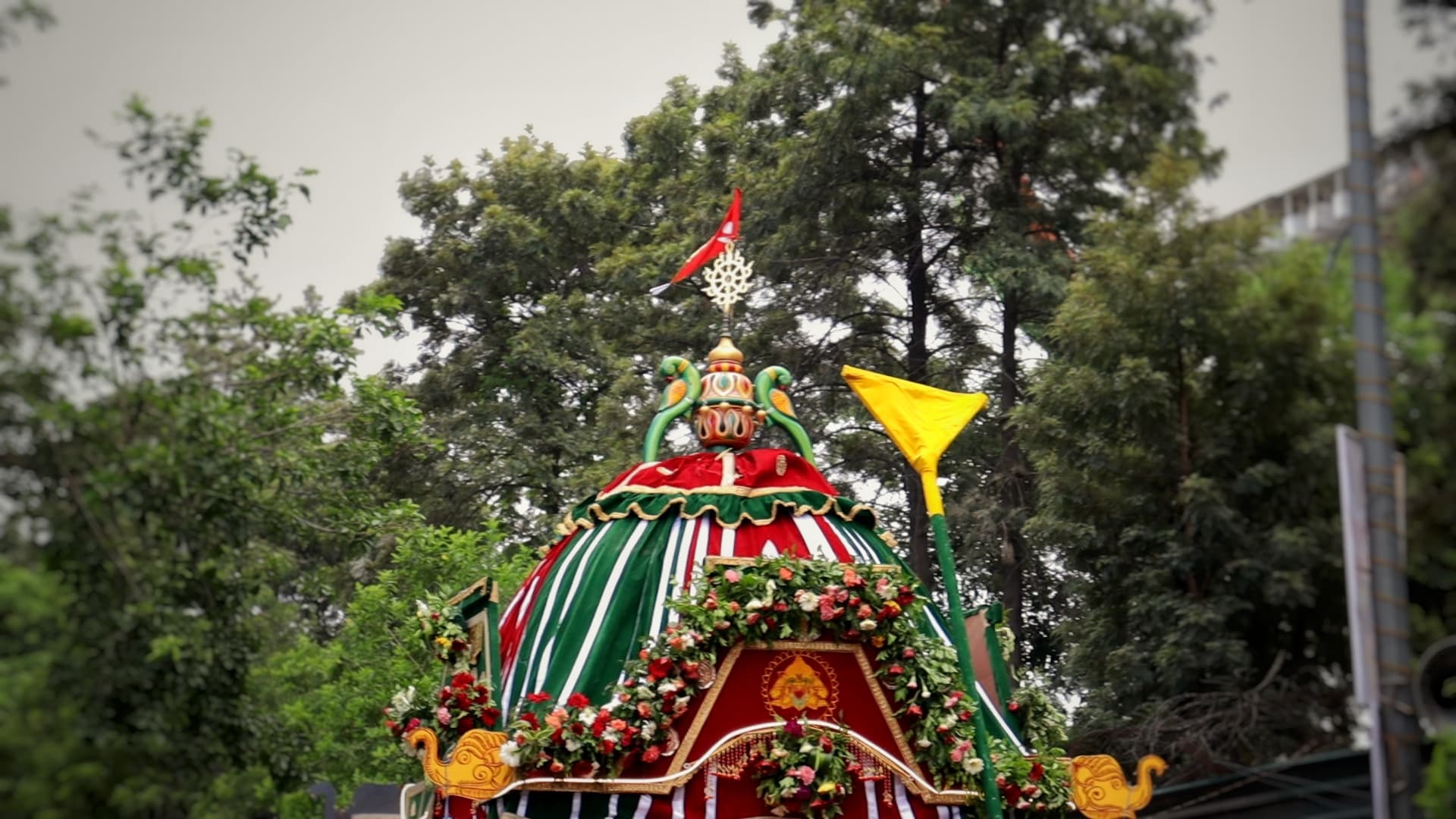 Jagannath Yatra — frame 14
